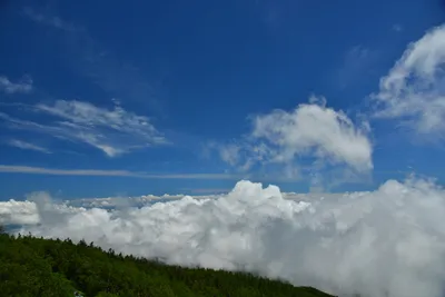 DSC_3622 (Large).JPG